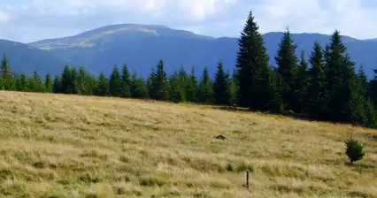 Túra Špindlerovka - Moravská bouda - Špindl
