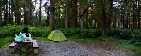 Cottonwood Camping