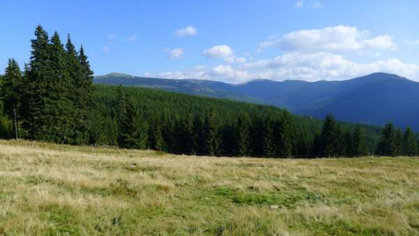 Vista panorâmica do vale do Elba Branco