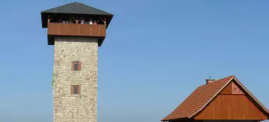 Miradouro no pinheiro