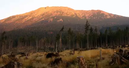 Slavkovský štít