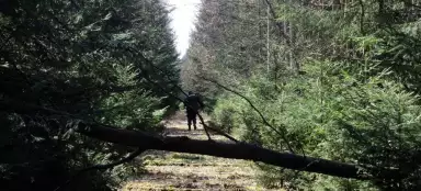 Frist 162 * Kralovice - Mladotice