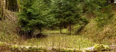 MT Trhový Štěpánov - Dolní Kralovice