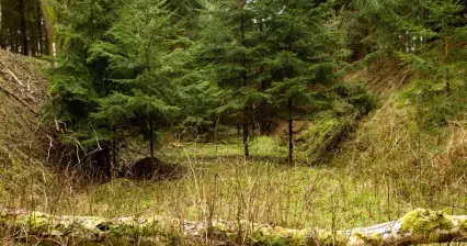 MT Trhový Štěpánov - Dolní Kralovice