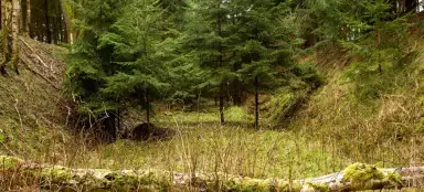 死んだ足跡をたどって