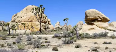 アメリカ西部の最も美しい旅