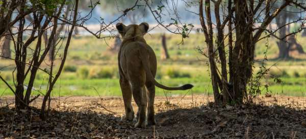 Zambia: Weather and season