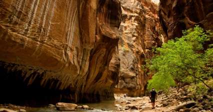 Hike through The Narrows Gorge in Zion NP
