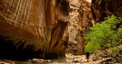 Túra soutěskou The Narrows v Zion N.P.