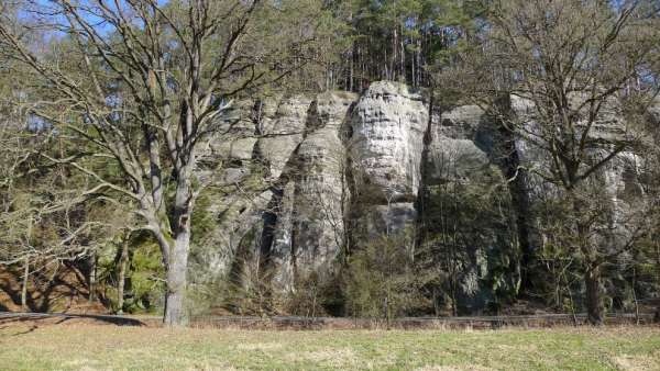 Carvalhos maciços à beira da lagoa