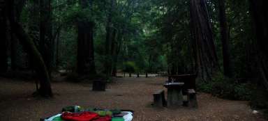 Parc d'État Portola Redwood