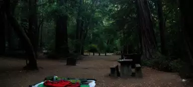 Portola Redwood State Park