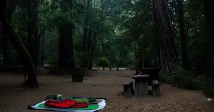 Portola Redwood State Park