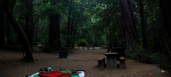 Portola Redwood State Park: Transport