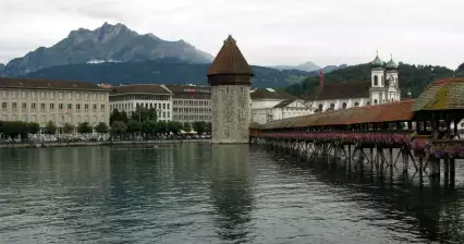 Lucern