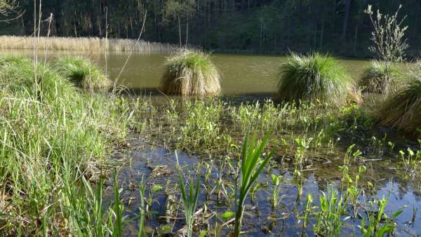 Podsemín pond