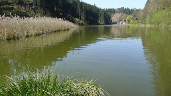 Podsemín pond