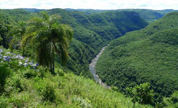 브라질 남부의 아름다운 풍경