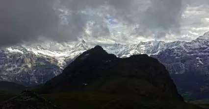 ファウルホーン