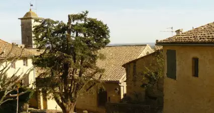 Châteauneuf du Pape