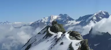 米特拉林