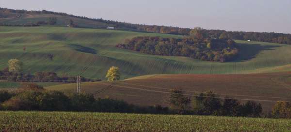 Moravia Toscana: Sicurezza