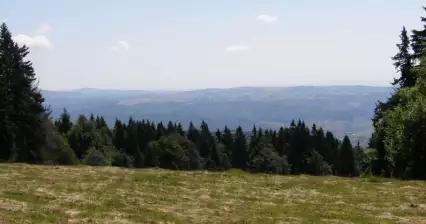 Poľana