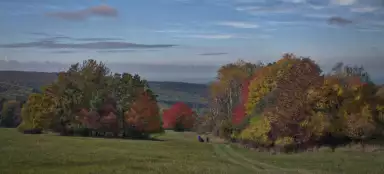 チェルトリージャ