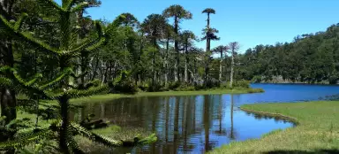 Klassiek circuit in Nationaal Park Huerquehue
