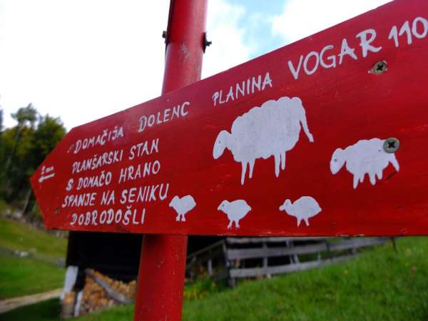 在湖边的 Planina 上通往 Koča 的路