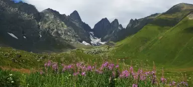 Hike through Chauki Pass