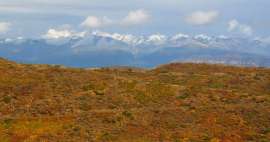 Colorado