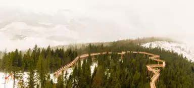 Passerella tra le cime degli alberi