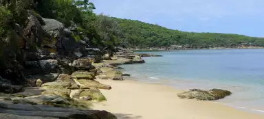 맨리 시닉 워크