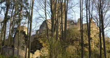 Choustník Castle