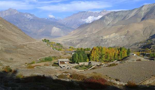 Autumn forest in Mustang