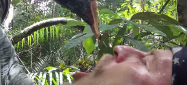 Hoe kom je aan drinkwater in de wildernis?