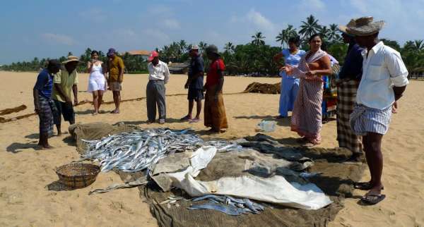 Sale of fish directly on the beach