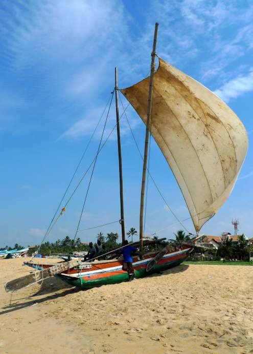 Fishing boats in Negombo