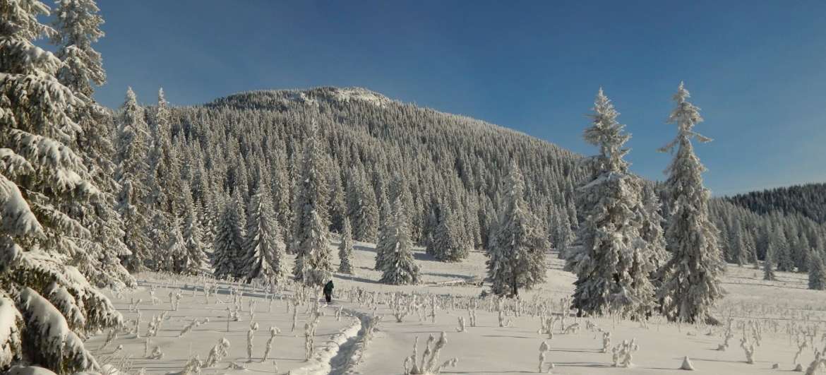 Winteraufstieg auf Velký Choč: Tourismus