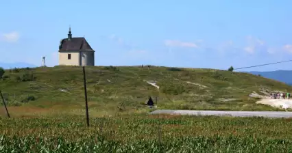 Grijze kin
