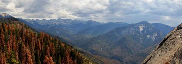 Uitzicht op Sequoia en de Kings Canyons