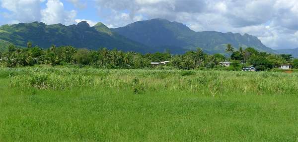 Le mont. Koroyanitu