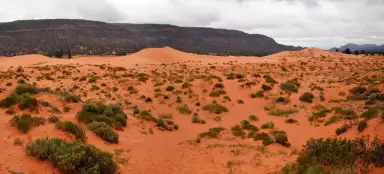 Coral Pink Sand Dunes State Park
