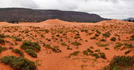 Park stanowy Coral Pink Sand Dunes