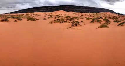 Voyage au parc d'État de Coral Pink Sand Dunes