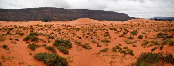 Sand dunes