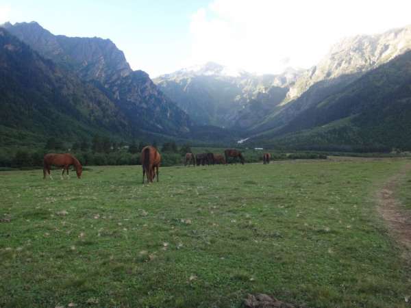 Camino por el valle alrededor del río.