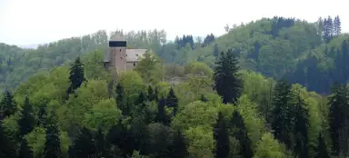 Castillo de Litice