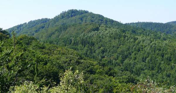 Blick auf Špičák